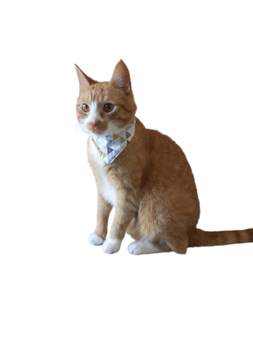 2791fe4f dc68 4368 8137 5e4ad636c16b removebg preview