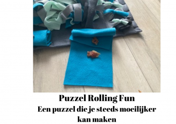 De hele mat is afgewerkt met vakjes dit zorgt voor tientallen extra zoek opties 1