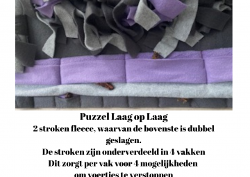 De hele mat is afgewerkt met vakjes dit zorgt voor tientallen extra zoek opties 14