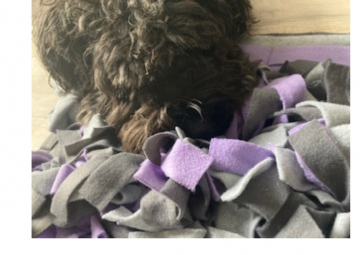 De hele mat is afgewerkt met vakjes dit zorgt voor tientallen extra zoek opties 17