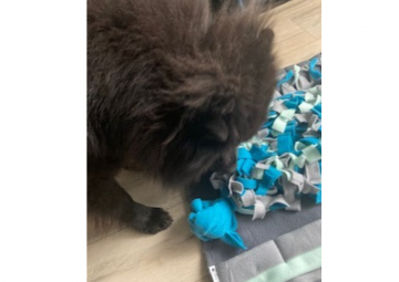 De hele mat is afgewerkt met vakjes dit zorgt voor tientallen extra zoek opties 38