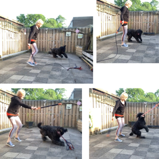 Flirtpole actie collage 1 4