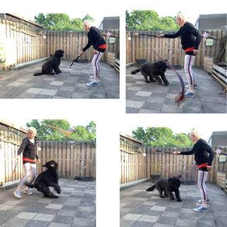 Flirtpole actie collage 2 5