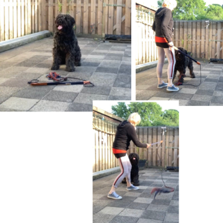 Flirtpole actie collage 3 5