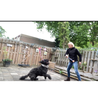 Flirtpole actie foto 2 3