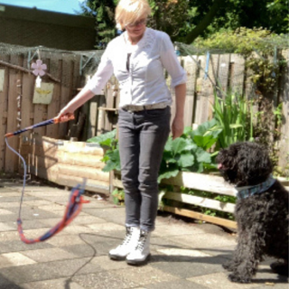 Flirtpole actie foto 3 4