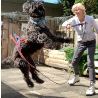 Flirtpole actie foto 4 6