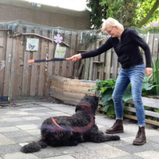 Flirtpole actie foto 5 1