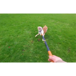 Flirtpole actie foto 7 0