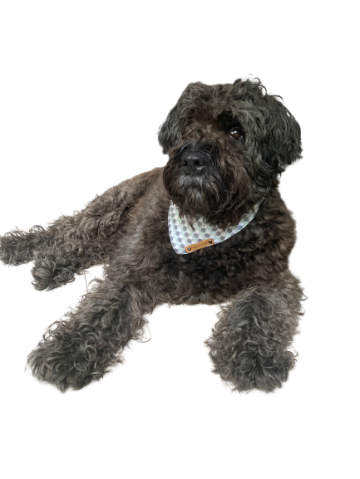 Image removebg preview 20