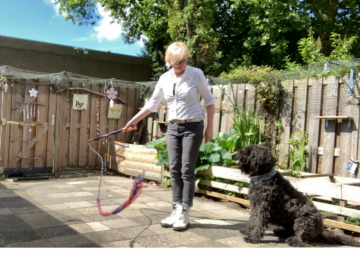 Kopie van zonder titel   2021 07 21t211721201 1