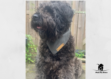 Kopie van zonder titel   2021 07 28t141712583