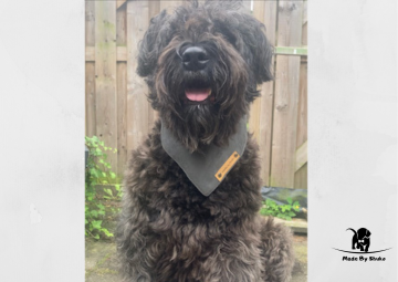 Kopie van zonder titel   2021 07 28t141745036 0