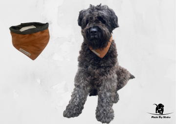 Kopie van zonder titel   2021 07 28t142420668