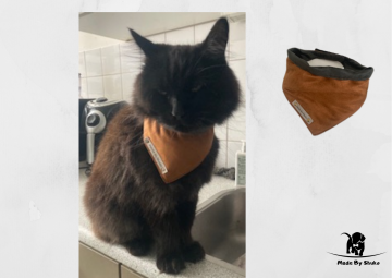 Kopie van zonder titel   2021 07 28t142605170 0