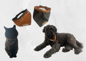 Kopie van zonder titel   2021 07 28t191847354