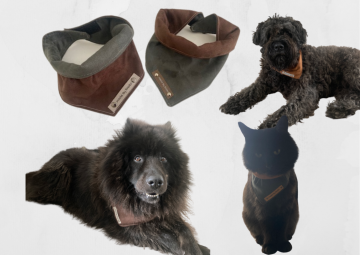 Kopie van zonder titel   2021 07 29t083231762