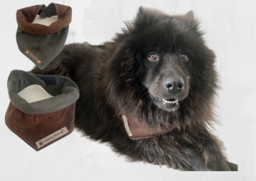 Kopie van zonder titel   2021 07 29t085109523