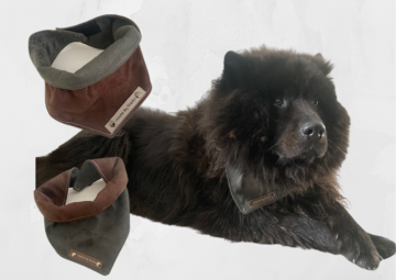 Kopie van zonder titel   2021 07 29t085429361