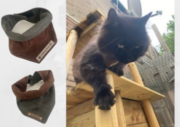 Kopie van zonder titel   2021 07 29t085543765 0