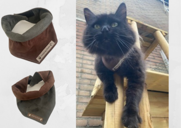 Kopie van zonder titel   2021 07 29t085652708