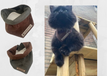 Kopie van zonder titel   2021 07 29t085840200