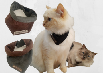 Kopie van zonder titel   2021 07 29t090408342 0