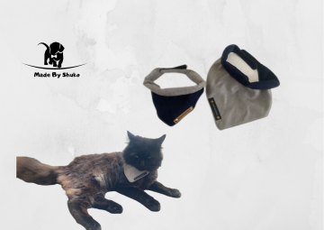 Kopie van zonder titel   2021 07 31t070901823 0