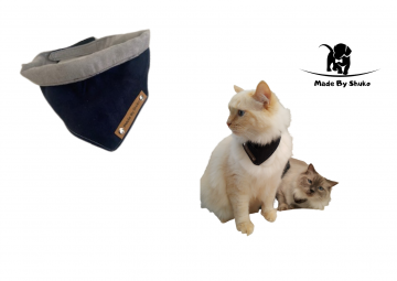 Kopie van zonder titel   2021 07 31t071818658 0