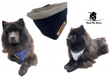 Kopie van zonder titel   2021 08 05t102923779