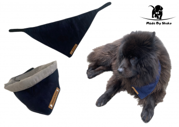 Kopie van zonder titel   2021 08 05t103647312