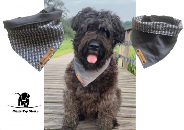 Kopie van zonder titel   2021 08 08t205754164