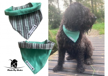 Kopie van zonder titel   2021 08 09t065924254