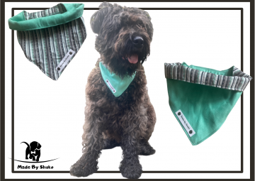 Kopie van zonder titel   2021 08 09t070922184