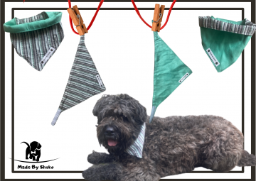 Kopie van zonder titel   2021 08 09t184202001