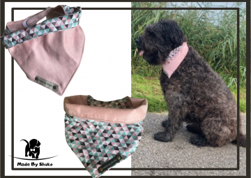 Kopie van zonder titel   2021 08 09t185250784