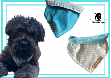 Kopie van zonder titel   2021 08 10t194903695