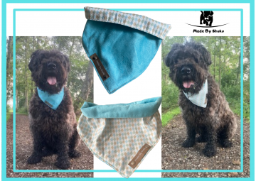 Kopie van zonder titel   2021 08 10t195403920