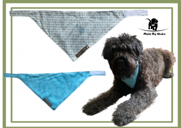 Kopie van zonder titel   2021 08 10t200934940