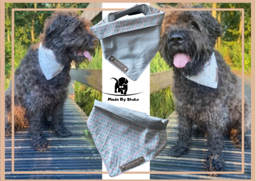 Kopie van zonder titel   2021 08 10t211329511