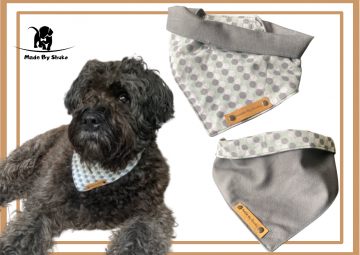 Kopie van zonder titel   2021 08 11t091542572