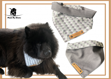 Kopie van zonder titel   2021 08 11t091706137