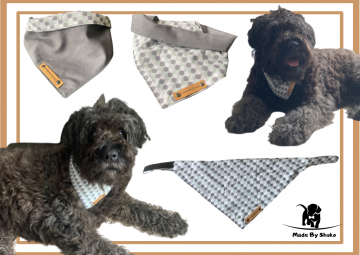 Kopie van zonder titel   2021 08 11t092429196