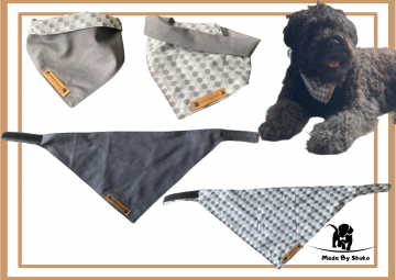 Kopie van zonder titel   2021 08 11t092743455