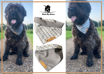 Kopie van zonder titel   2021 08 11t094244879