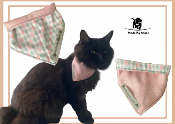 Kopie van zonder titel   2021 08 11t101305682