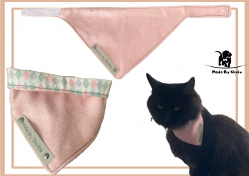 Kopie van zonder titel   2021 08 11t125358743