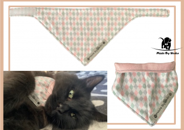 Kopie van zonder titel   2021 08 11t135359675