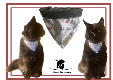 Kopie van zonder titel 14 0