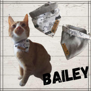 Kopie van zonder titel 4 0